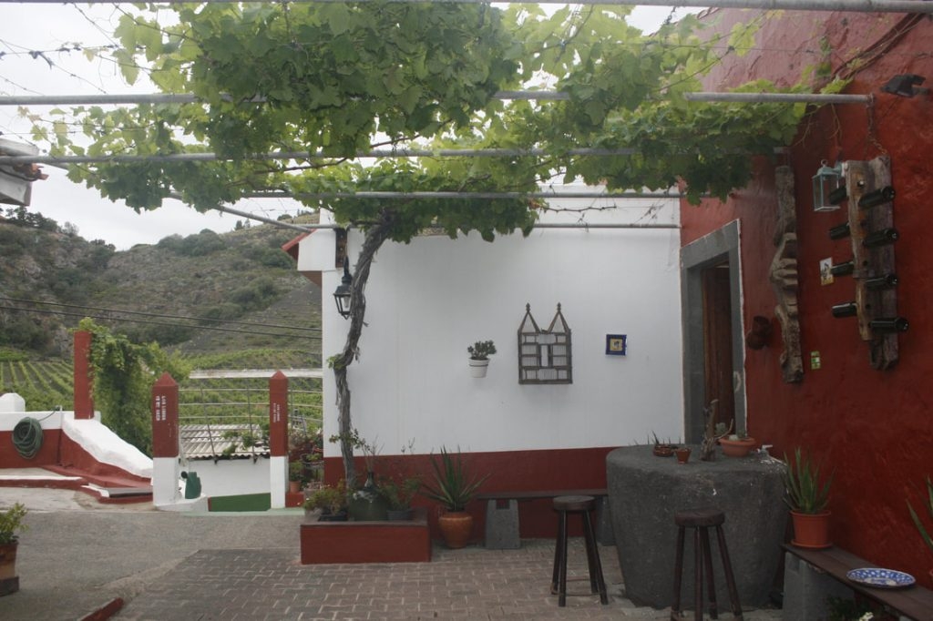 Gastronomic Culture in Gran Canaria